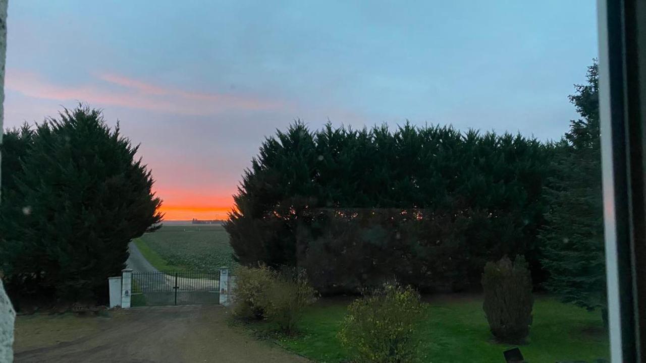 Bois De Crane Villa Landes-le-Gaulois Exteriör bild
