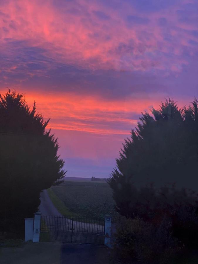 Bois De Crane Villa Landes-le-Gaulois Exteriör bild