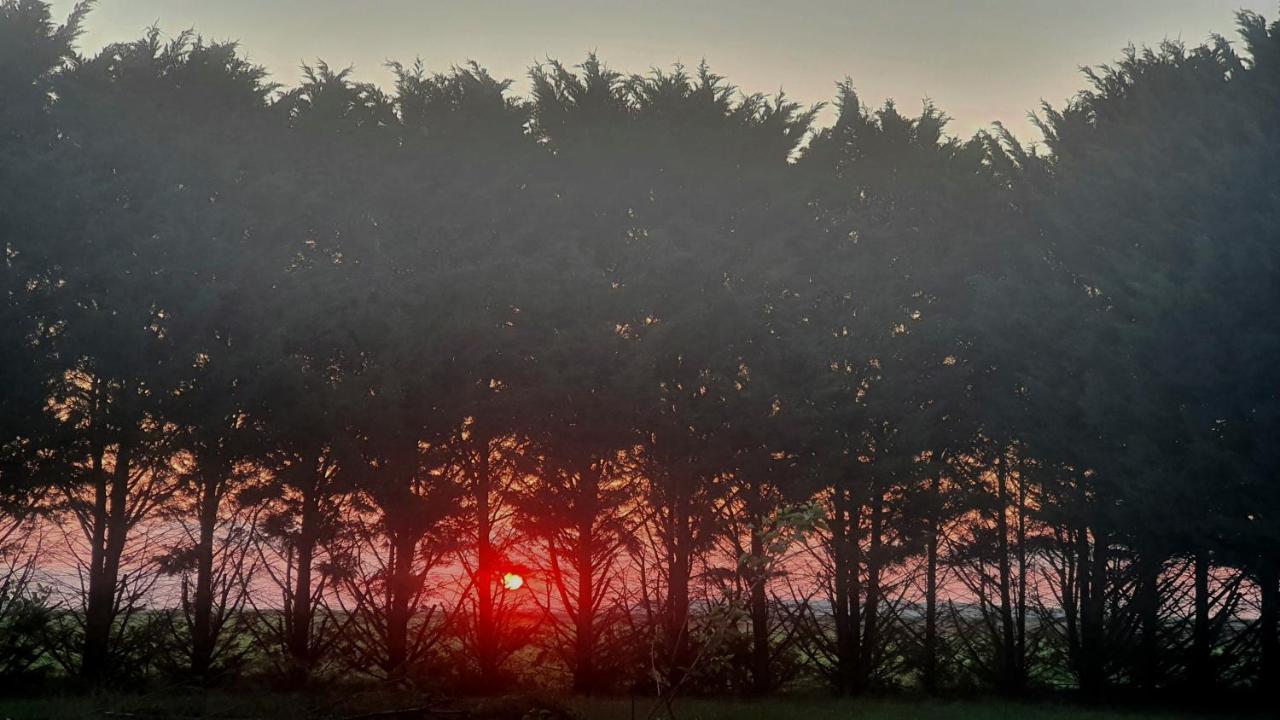 Bois De Crane Villa Landes-le-Gaulois Exteriör bild