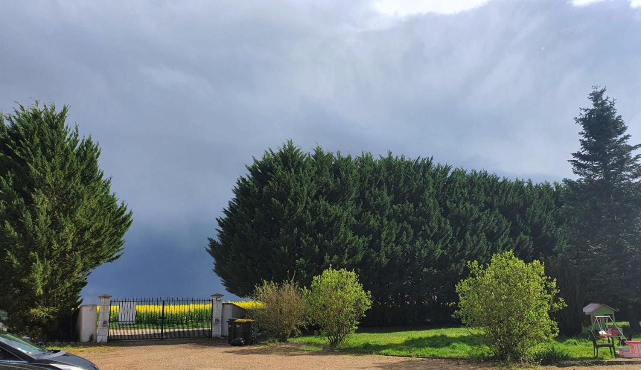 Bois De Crane Villa Landes-le-Gaulois Exteriör bild